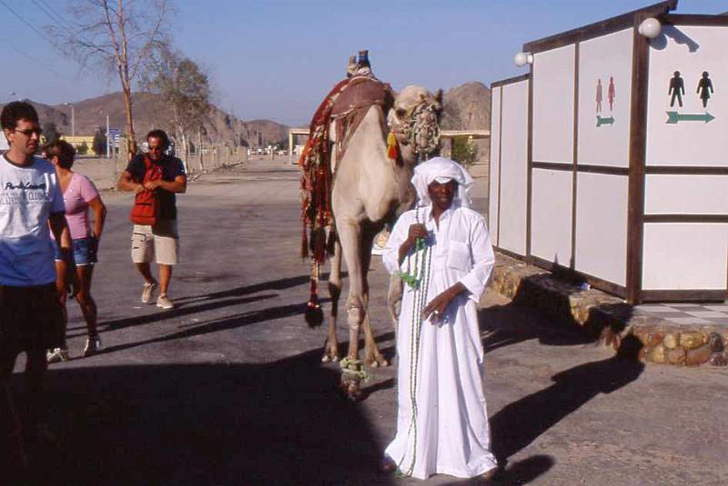 218-Tra Safaga e Luxor (h 8,a 145 Km),13 agosto 2007.jpg